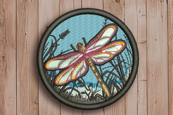 Dragonfly in a Circle